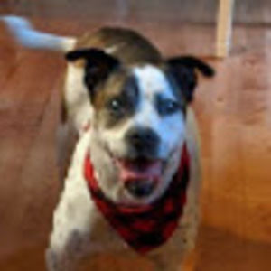 Meet your Posher, Annalee